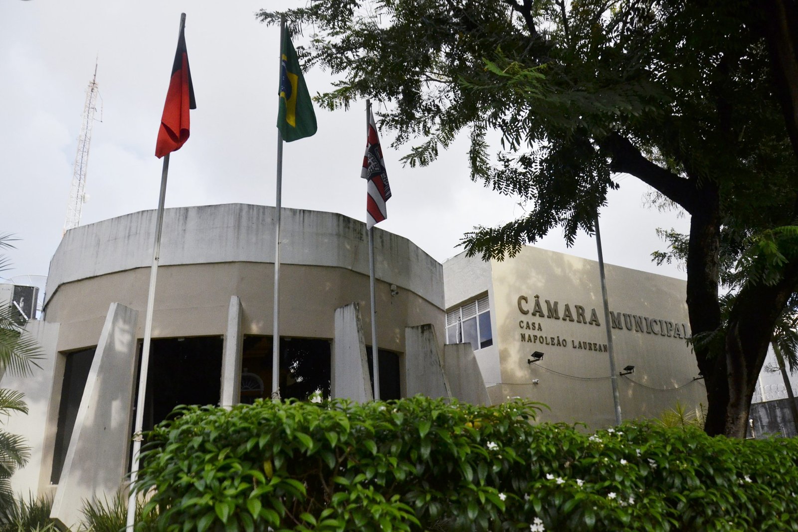 Rascunho Automático